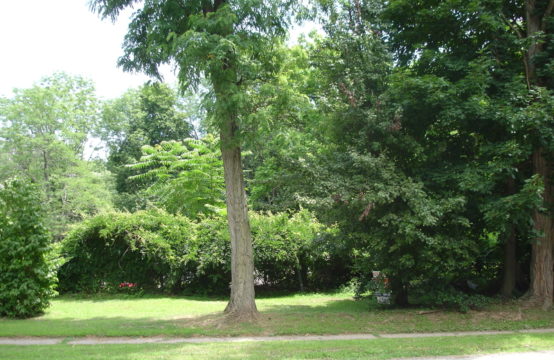 185  Knoll Rd , Parsippany-Troy Hills Twp., NJ